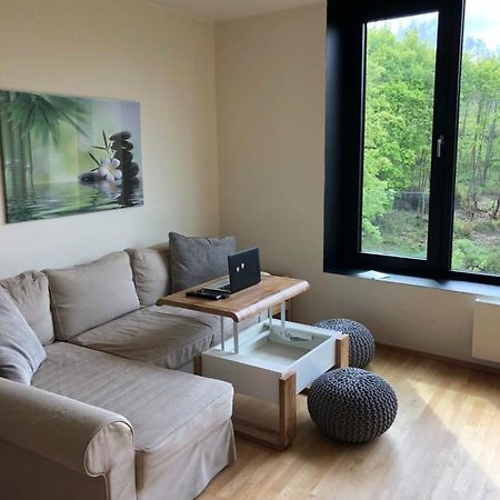 Triplex Residence, Lux-Appartment In The Central Part Karlsbad Buitenkant foto